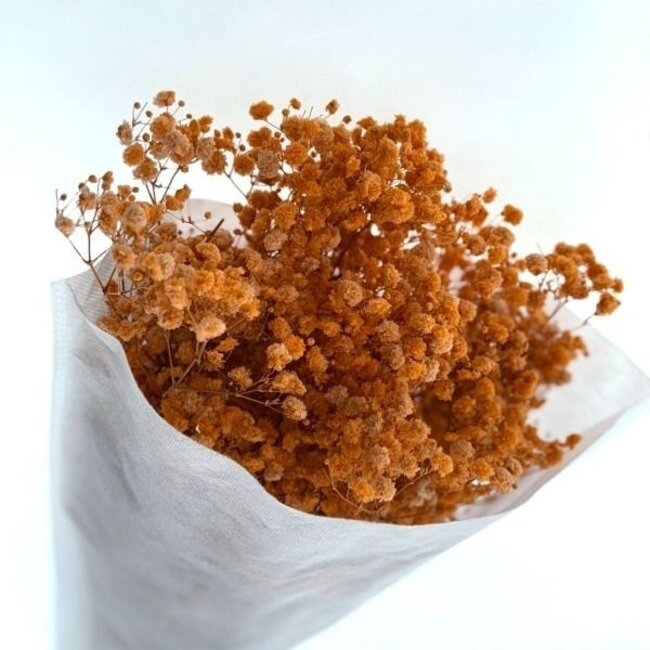 Oranje Gypsophila droogbloemen | Gepreserveerd Gipskruid | Lengte ± 65 centimeter | Per 100 gram