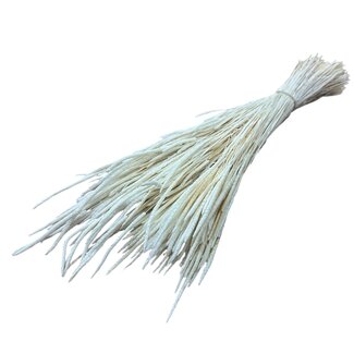 Casa Alegria Phleum séchées blanchies | Longueur ± 60 centimètres | Poids ± 100 grammes