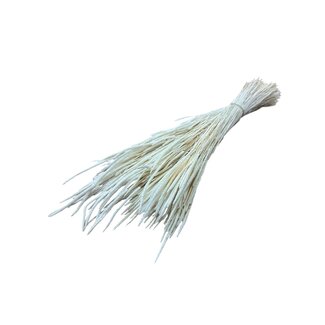 Casa Alegria White bleached Phleum dried flowers | Length ± 60 centimetres | Weight ± 100 grams