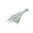 White bleached Phleum dried flowers | Length ± 60 centimetres | Weight ± 100 grams