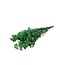 Groene Gypsophila droogbloemen | Gepreserveerd Gipskruid | Lengte ± 65 centimeter | Per 100 gram