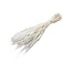 Wit gebleekte Triticum - Tarwe droogbloemen | Lengte ± 70 centimeter | Gewicht ± 175 gram
