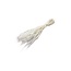 Wit gebleekte Triticum - Tarwe droogbloemen | Lengte ± 70 centimeter | Gewicht ± 175 gram