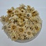 Köpfe Weißes Helichrysum - Strohblumen | In wiederverschließbarem Eimer | Gewicht ± 100 Gramm