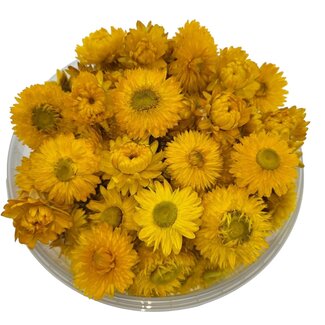 Dutch Dried Koppen Gele Helichrysum - Strobloemen | In hersluitbare emmer | Gewicht ± 100 gram