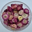 Köpfe Rosa Helichrysum - Strohblumen | In wiederverschließbarem Eimer | Gewicht ± 100 Gramm