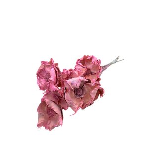 Dutch Dried Roze Palm Cup droogbloemen | Lengte ± 55 centimeter | Per 10 takken