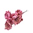 Coupe de palmier rose fleurs séchées | Longueur ± 55 centimètres | Par 10 tiges