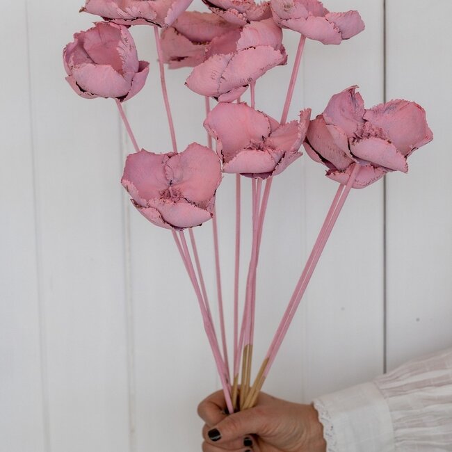 Pink Palm Cup dried flowers | Length ± 55 centimetres | Per 10 stems