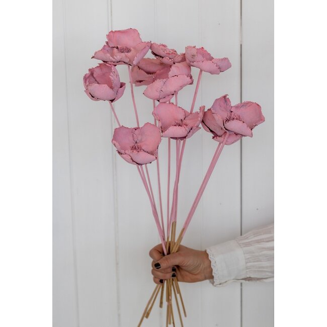 Pink Palm Cup dried flowers | Length ± 55 centimetres | Per 10 stems