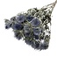 Natural blue Eryngium Magnum Blue dried flowers | Length ± 70 centimetres | Weight ± 150 grams
