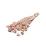 Roze gebleekte Lonas Annua droogbloemen | Lengte ± 50 centimeter | Gewicht ± 100 gram