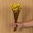 Gelbe Glixia Trockenblumen | Länge ± 50 Zentimeter | Gewicht ± 50 Gramm