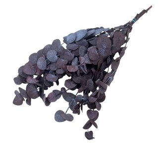 Casa Alegria Red Eucalyptus Spiral | Preserved |  | Length ± 50 centimetres | Weight ± 150 grams