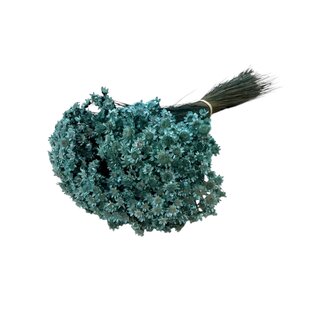 Casa Alegria Aquablue Glixia dried flowers | Length ± 50 centimetres | Weight ± 50 grams