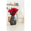 Rode Glixia droogbloemen | Lengte ± 50 centimeter | Gewicht ± 50 gram