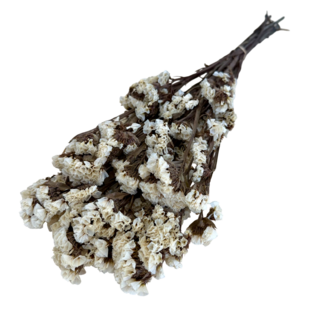 Casa Alegria Witte Statice Sinuata gepreserveerde bloemen  | Lengte ± 65 centimeter | Gewicht ± 75 gram