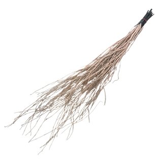 Dutch Dried Zalmkleurige Berkentakken | Lengte ± 60 centimeter | Per 10 takken