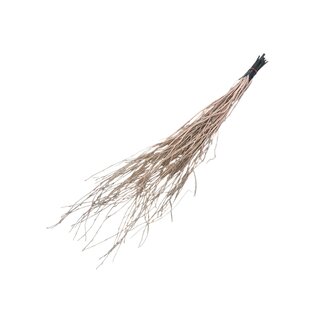 Dutch Dried Zalmkleurige Berkentakken | Lengte ± 60 centimeter | Per 10 takken