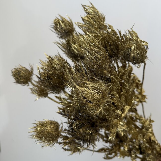 Goudkleurige Eryngium droogbloemen | Met Glitters | Lengte ± 60 centimeter | Gewicht ± 100 gram