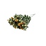 Natürliche orange Carthamus Trockenblumen | Länge ± 65 Zentimeter | Pro 10 Stiele