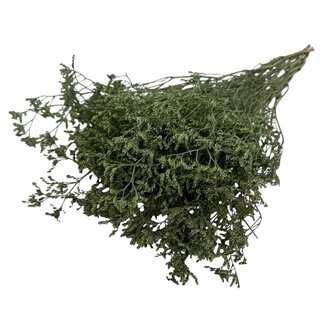 Casa Alegria Green Limonium Diamond Preserved Flowers | Length ± 65 centimetres | Weight ± 100 grams