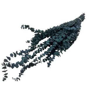 Dutch Dried Natürliche grüne Eukalyptus Baby Blue | Konserviert |  | Länge ± 60 Zentimeter | Gewicht ± 150 Gramm