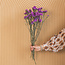 Dark Pink Statice Sinuata Dried Flowers | Length ± 70 centimetres | Weight ± 75 grams