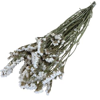 Dutch Dried Witte Statice Sinuata droogbloemen | Lengte ± 70 centimeter | Gewicht ± 75 gram