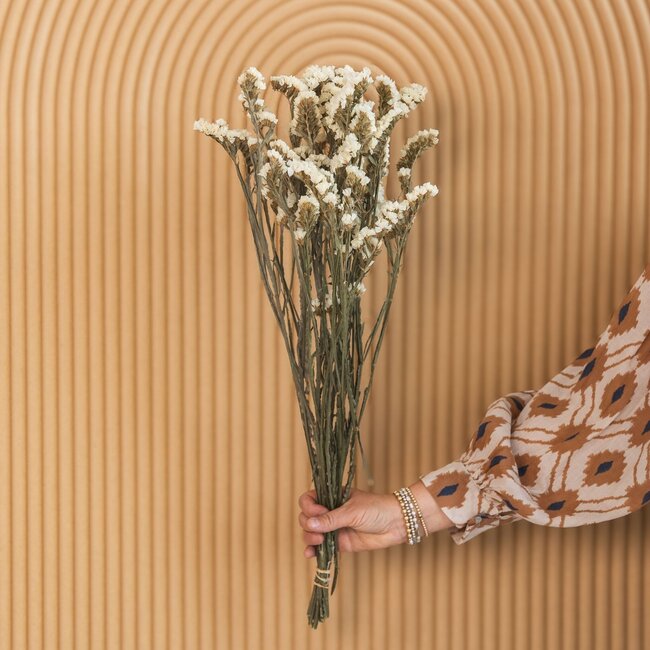 Weiße Statice Sinuata Trockenblumen | Länge ± 70 Zentimeter | Gewicht ± 75 Gramm