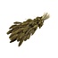 Golden Setaria dried flowers | Length ± 70 centimetres | Weight ± 150 grams