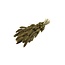 Goudkleurige Setarea droogbloemen | Lengte ± 70 centimeter | Gewicht ± 150 gram