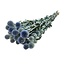 Natürliche blau-graue Echinops Trockenblumen | Länge ± 65 Zentimeter | Gewicht ± 150 Gramm