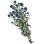 Natural blue-grey Echinops dried flowers | Length ± 65 centimetres | Weight ± 150 grams