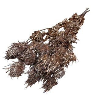 Dutch Dried Kupferfarbene Eryngium Trockenblumen | Mit Glitzer | Länge ± 60 Zentimeter | Gewicht ± 100 Gramm