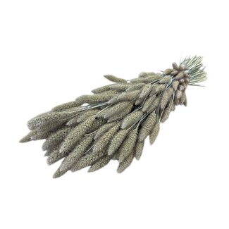 Dutch Dried Soft White Setarea droogbloemen | Lengte ± 70 centimeter | Gewicht ± 150 gram