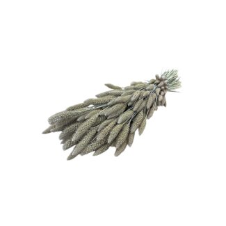Dutch Dried Soft White Setarea droogbloemen | Lengte ± 70 centimeter | Gewicht ± 150 gram