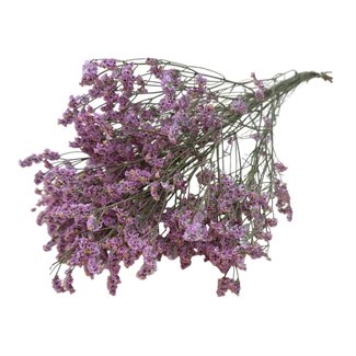 Dutch Dried Altrosa Limonium Diamond Konservierte Blumen | Länge ± 65 Zentimeter | Gewicht ± 100 Gramm