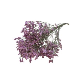 Dutch Dried Old Rose Limonium Diamond Preserved Flowers | Length ± 65 centimetres | Weight ± 100 grams