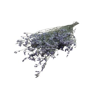 Dutch Dried Blauwe Limonium Diamond droogbloemen  | Lengte ± 70 centimeter | Gewicht ± 100 gram