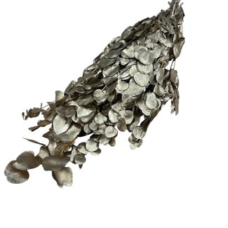 Casa Alegria Goudkleurige Eucalyptus Espiral Cinerea droogbloemen | Lengte ± 55 centimeter | Gewicht ± 150 gram