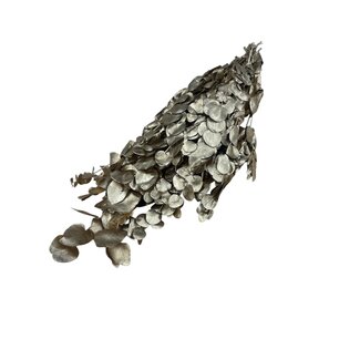Casa Alegria Gold-coloured Eucalyptus Espiral Cinerea dried flowers | Length ± 55 centimetres | Weight ± 150 grams