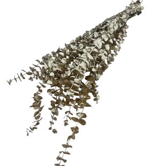 Casa Alegria Goudkleurige Eucalyptus Baby Blue droogbloemen | Lengte ± 55 centimeter | Gewicht ± 150 gram