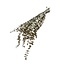 Gold-coloured Eucalyptus Baby Blue dried flowers | Length ± 55 centimetres | Weight ± 150 grams