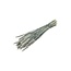 Soft White Triticum - Wheat dried flowers | Length ± 70 centimetres | Weight ± 175 grams