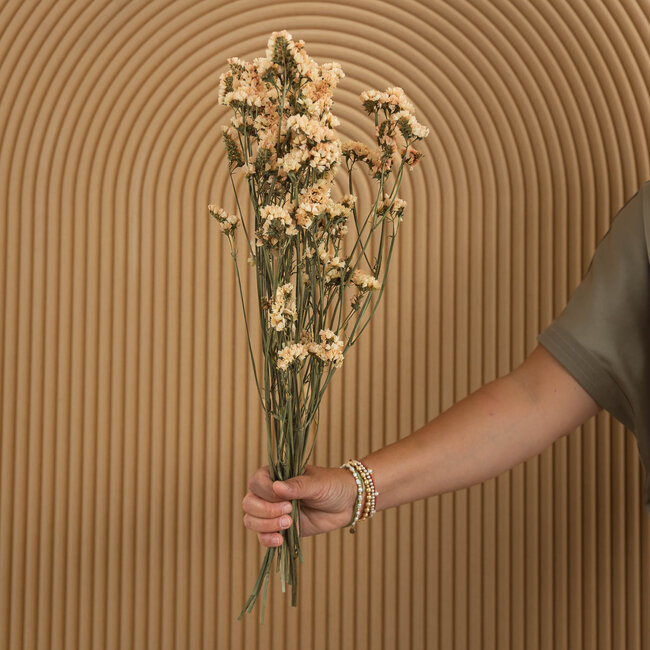 Zalmkleurige Statice Sinuata droogbloemen | Lengte ± 70 centimeter | Gewicht ± 75 gram