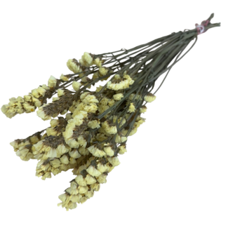 Dutch Dried Gele Statice Sinuata droogbloemen | Lengte ± 70 centimeter | Gewicht ± 75 gram