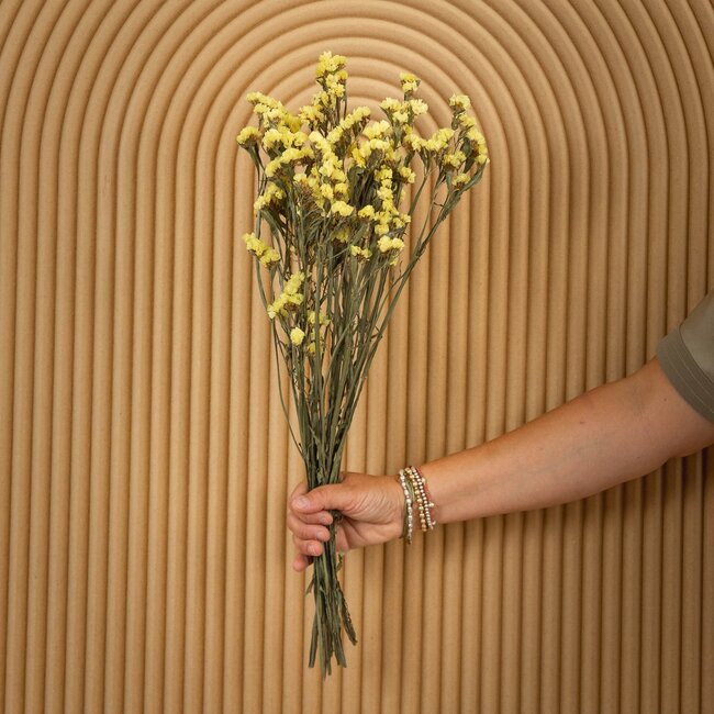 Gele Statice Sinuata droogbloemen | Lengte ± 70 centimeter | Gewicht ± 75 gram