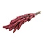 Roze Setarea droogbloemen | Lengte ± 70 centimeter | Gewicht ± 150 gram