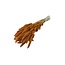 Oranje Setarea droogbloemen | Lengte ± 70 centimeter | Gewicht ± 150 gram